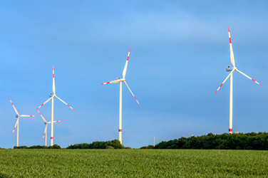 Perspectivas del sector de la energía eólica.